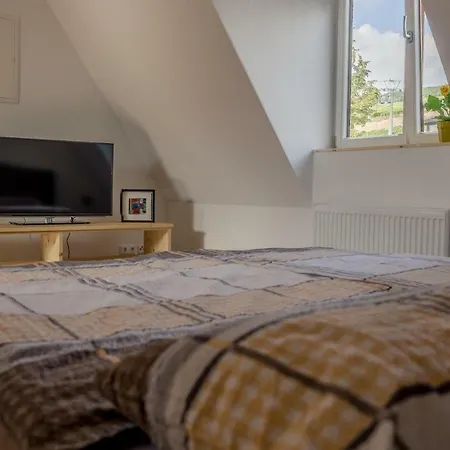 21 / Zentral / Terrasse / Seilbahn Blick Lejlighed Rüdesheim am Rhein