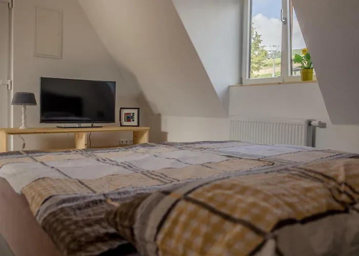 21 / Zentral / Terrasse / Seilbahn Blick Apartmán Rüdesheim am Rhein