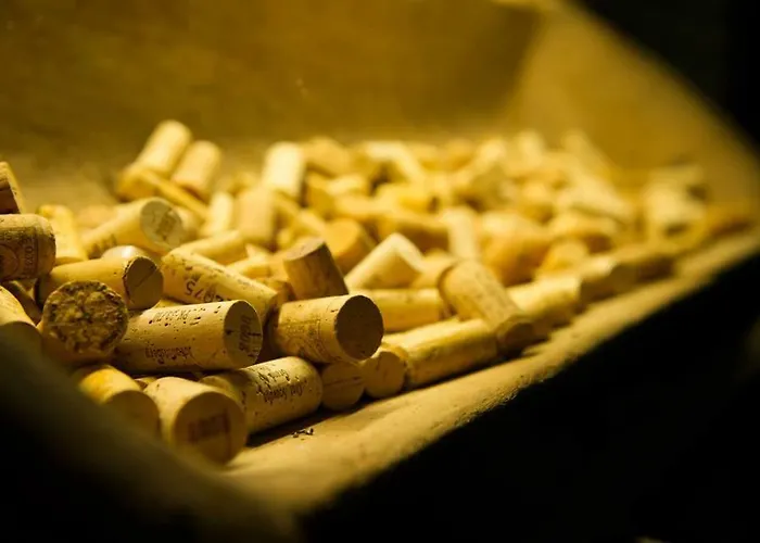 Апартаменты 21 / Zentral / Terrasse / Seilbahn Blick *